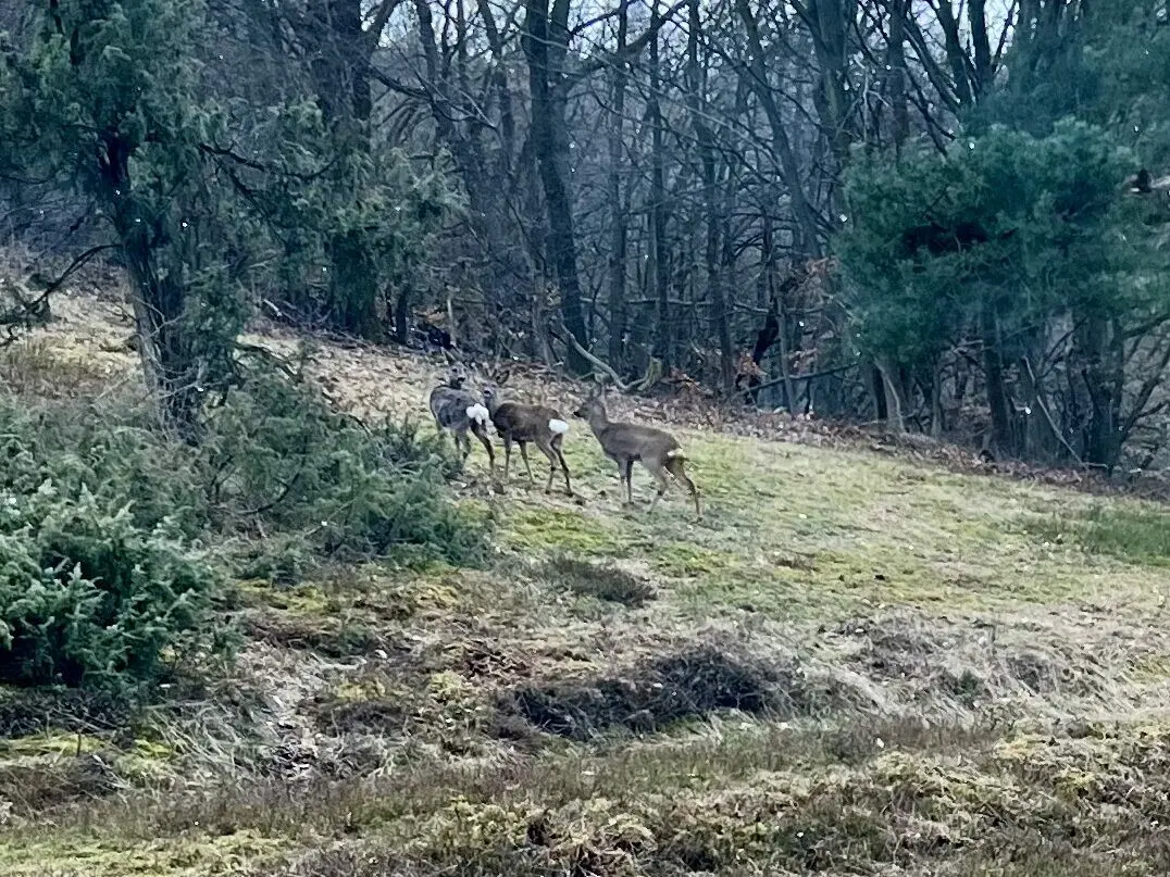 Emotional Bild (schöne Begegnungen)